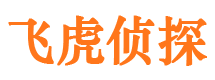 江北市调查公司